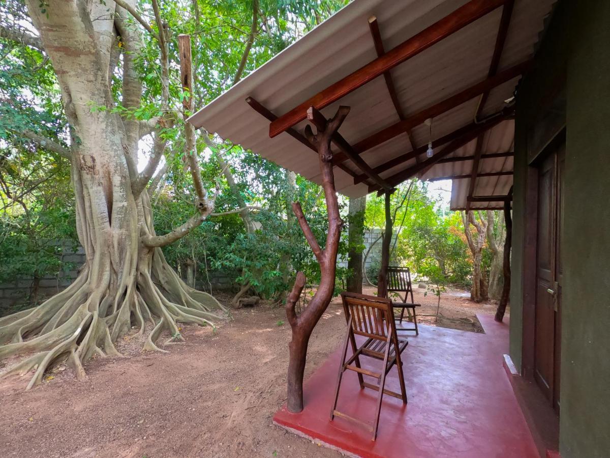 Wilpattu Mookalan Resort Habawewa Luaran gambar