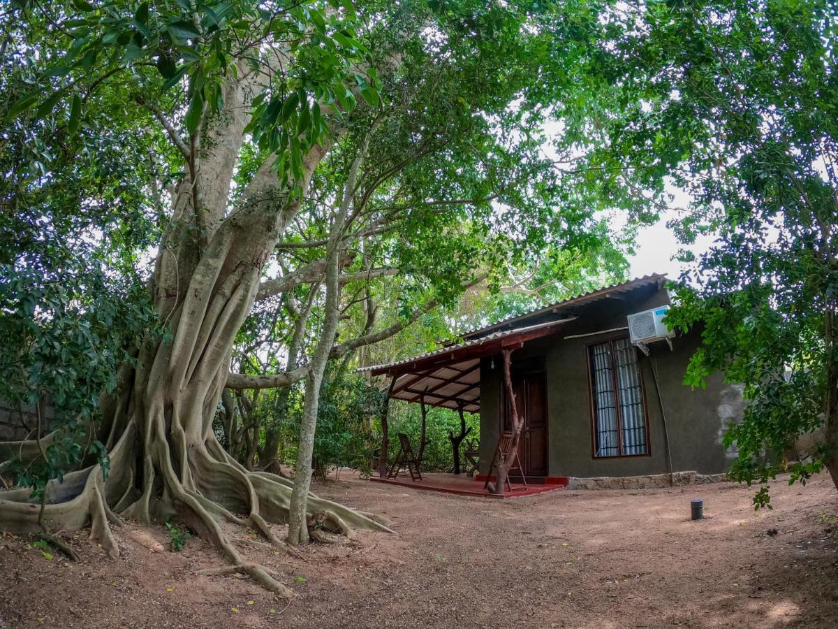 Wilpattu Mookalan Resort Habawewa Luaran gambar