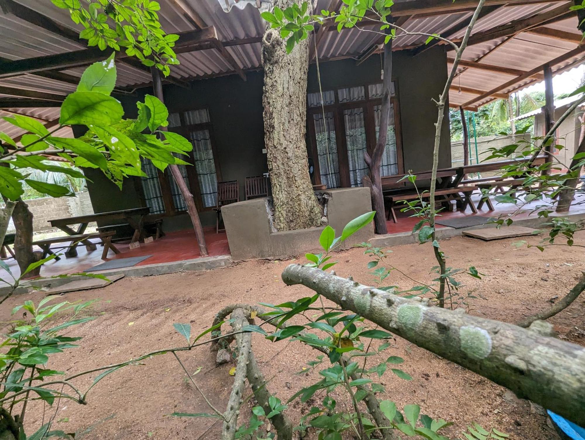 Wilpattu Mookalan Resort Habawewa Luaran gambar