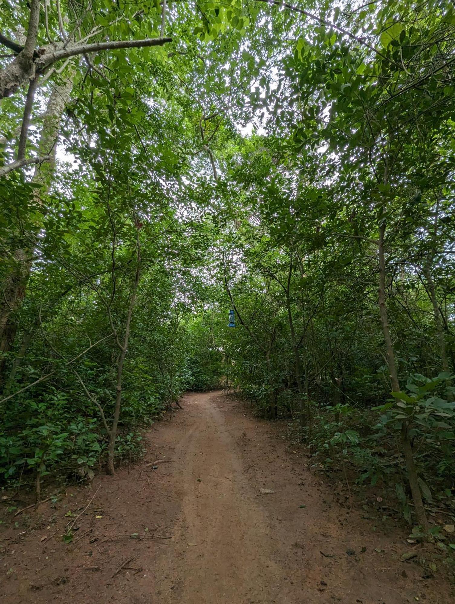 Wilpattu Mookalan Resort Habawewa Luaran gambar