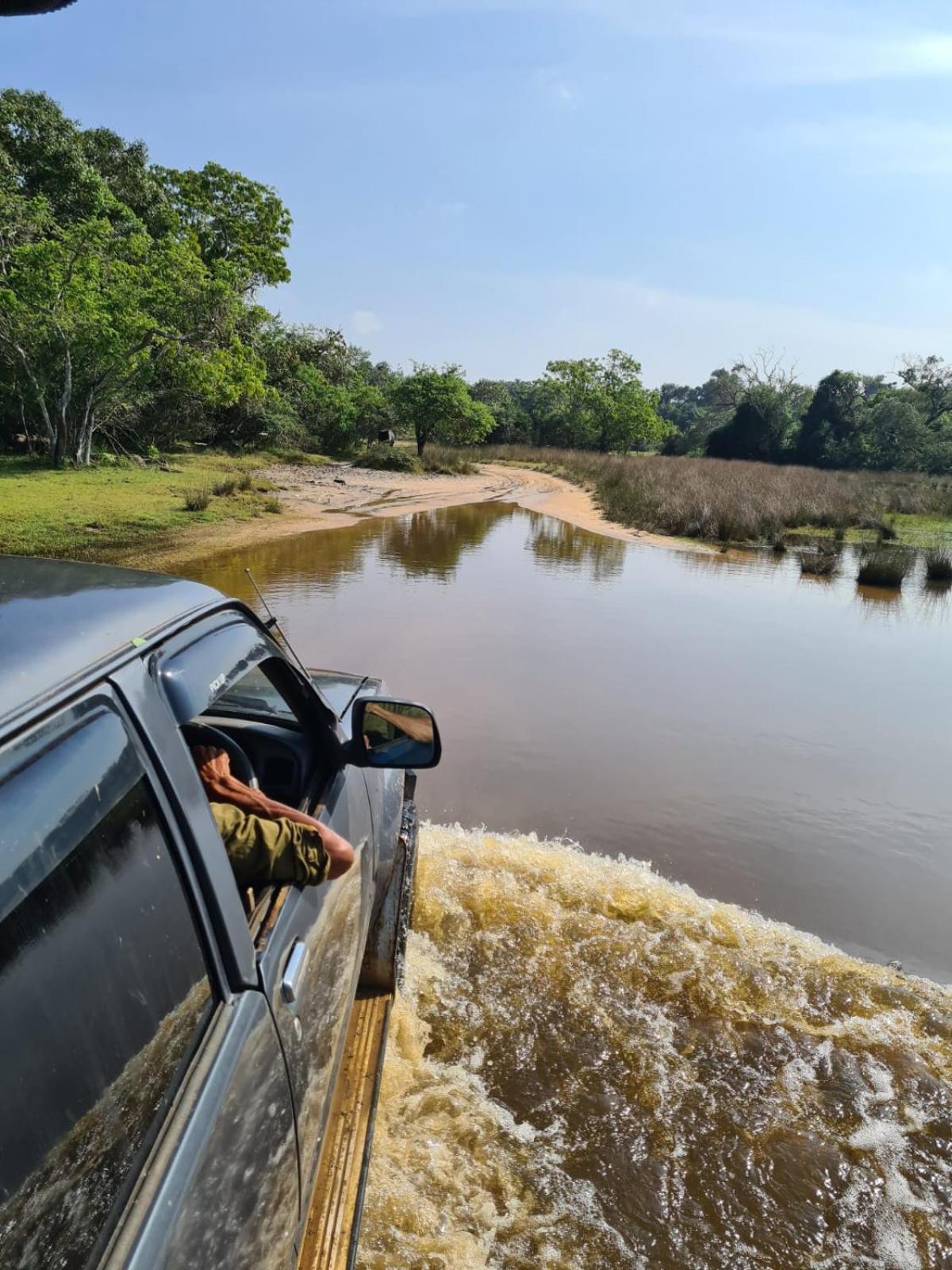 Wilpattu Mookalan Resort Habawewa Luaran gambar